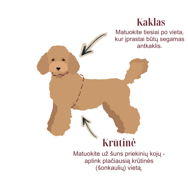 Rinkinys CARAMEL MACCHIATO