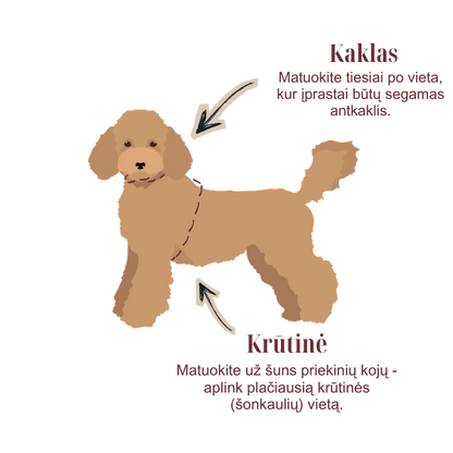 Rinkinys CARAMEL MACCHIATO