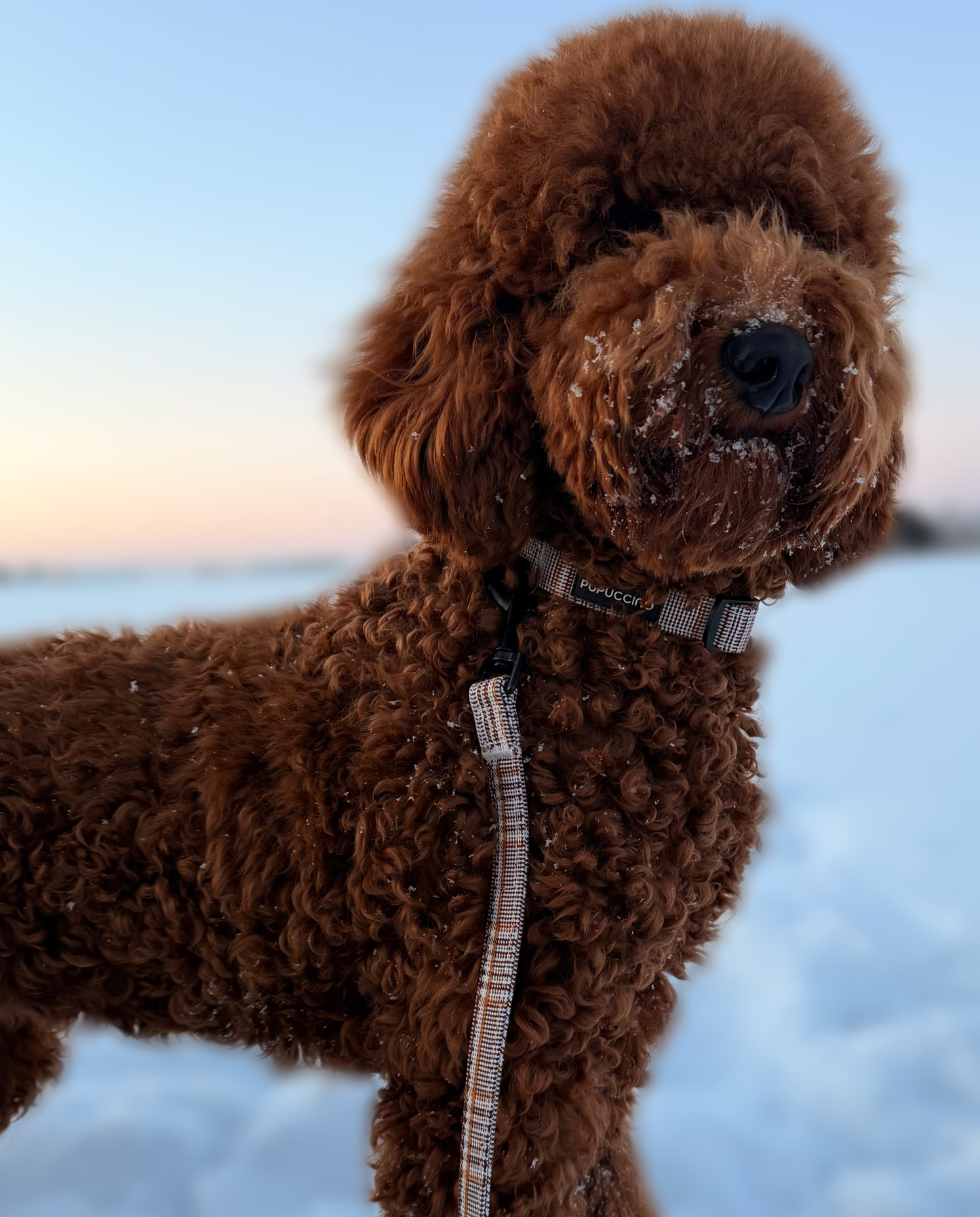 Pavadėlis CARAMEL MACCHIATO