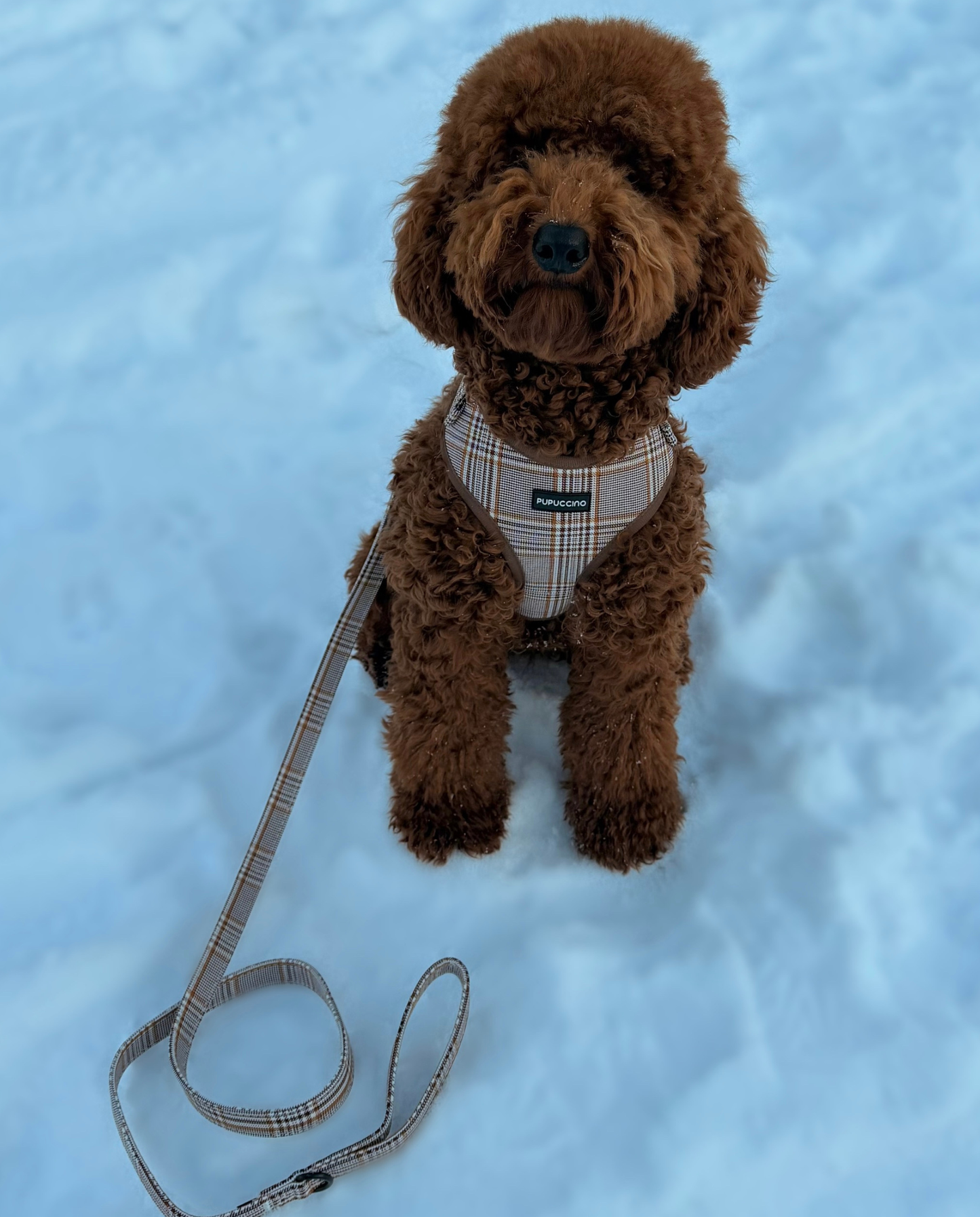 Rinkinys CARAMEL MACCHIATO
