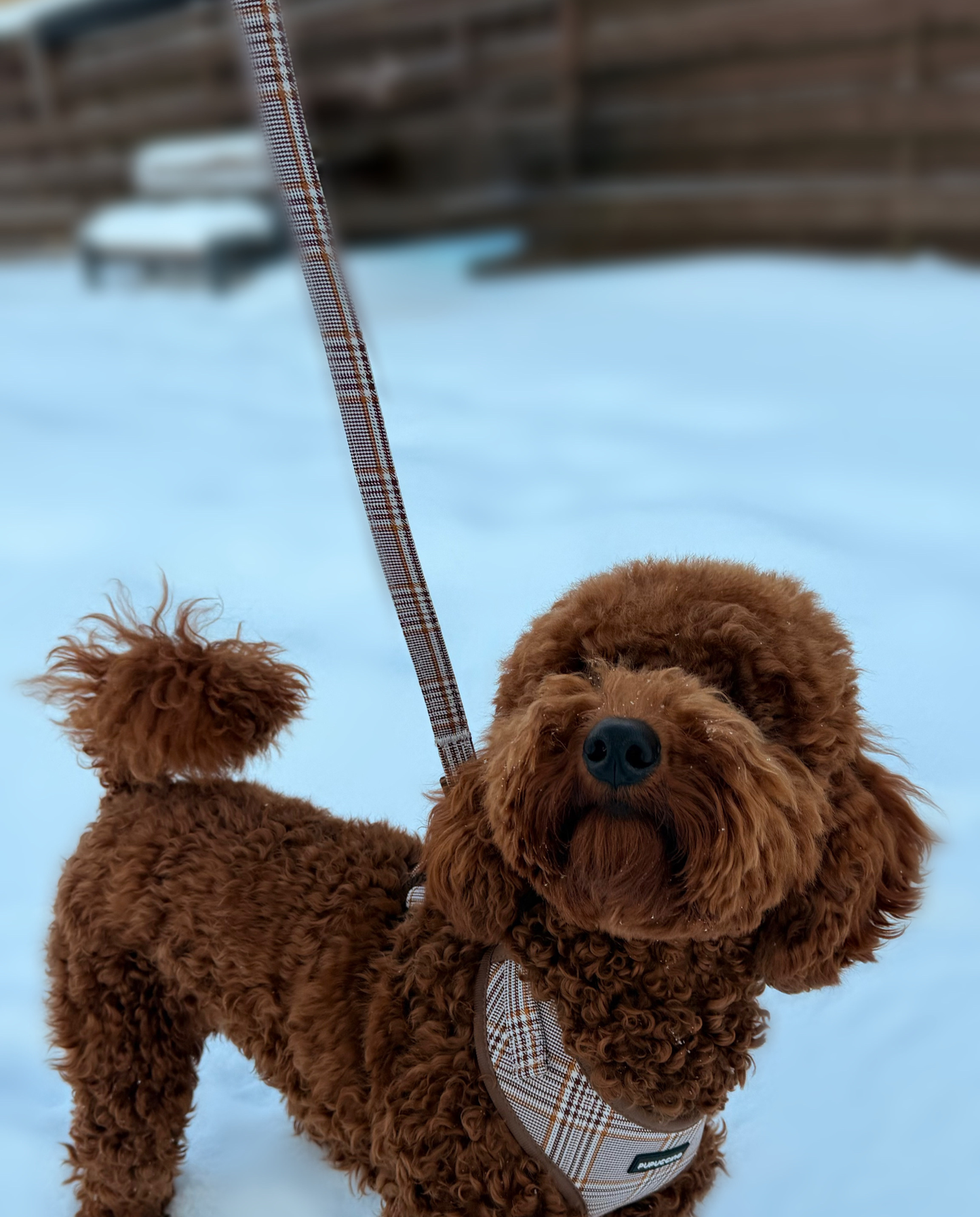 Rinkinys CARAMEL MACCHIATO