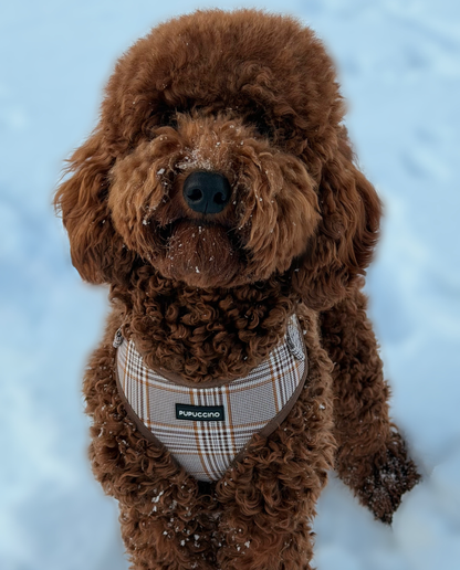 Rinkinys CARAMEL MACCHIATO