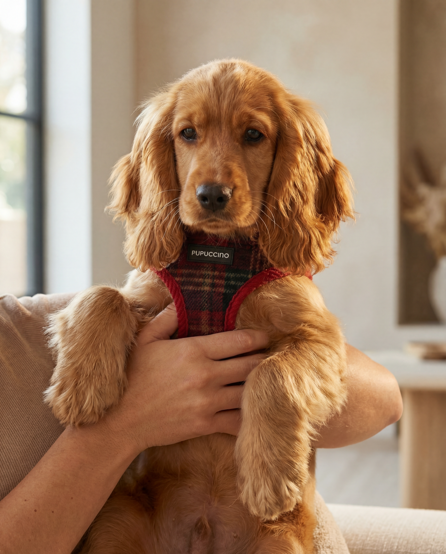 Rinkinys BERRY LATTE