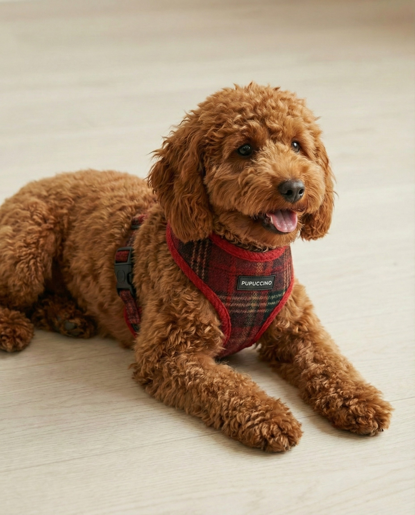 Rinkinys BERRY LATTE