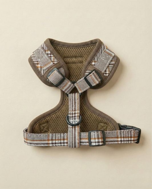 Petnešos CARAMEL MACCHIATO