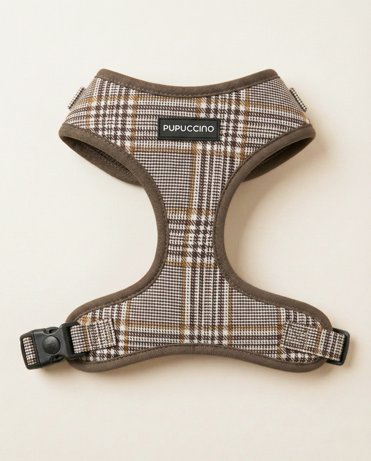 Petnešos CARAMEL MACCHIATO