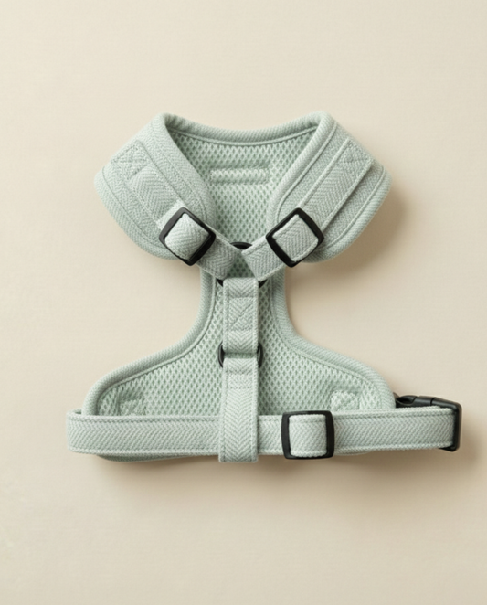 Petnešos MINT MOCHA