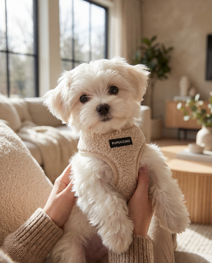 Rinkinys VANILLA FRAPPUCCINO