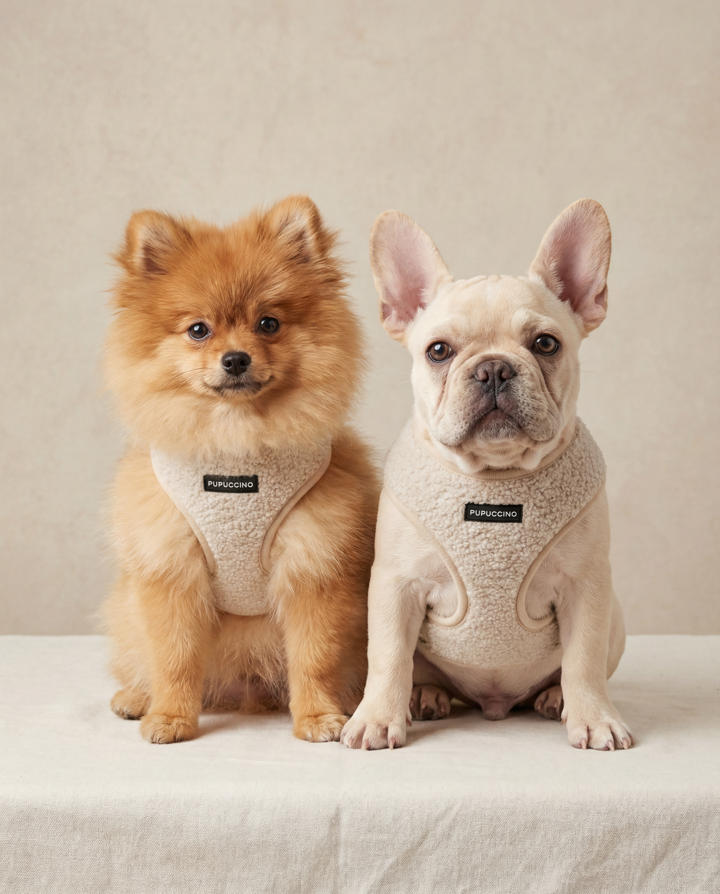 Rinkinys VANILLA FRAPPUCCINO